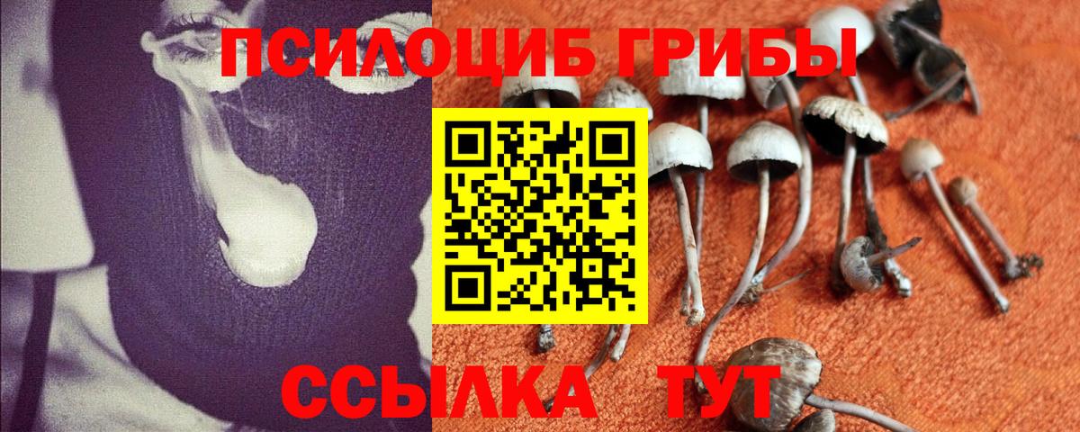 Галлюциногенные грибы Psilocybe  Вход с VPN  Великий Устюг  Галлюциногенные грибы GOLDEN TEACHER 